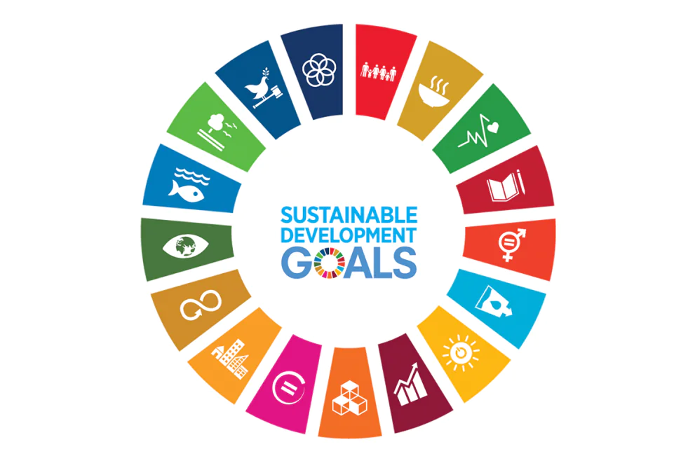 sdgwg thumbnail.png 4